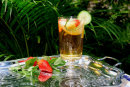 PIMMS NUMBER 1