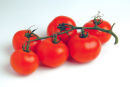 TOMATOES ON THE VINE