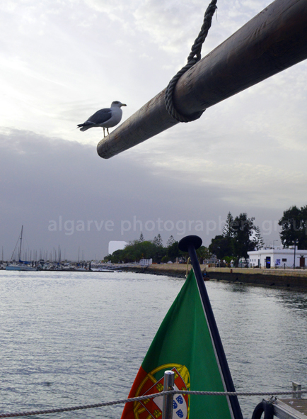 Bom Sucesso - 069a LR