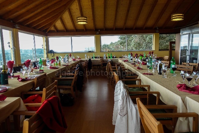 Where have they all gone?