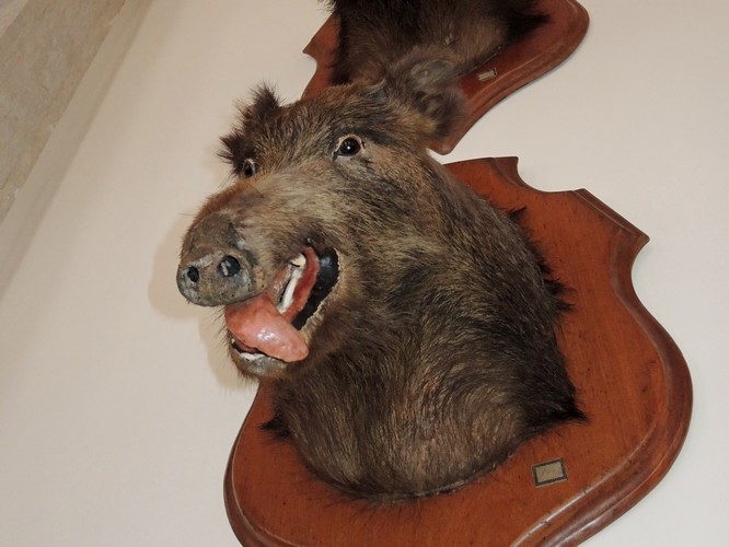 In the 'hunting room'