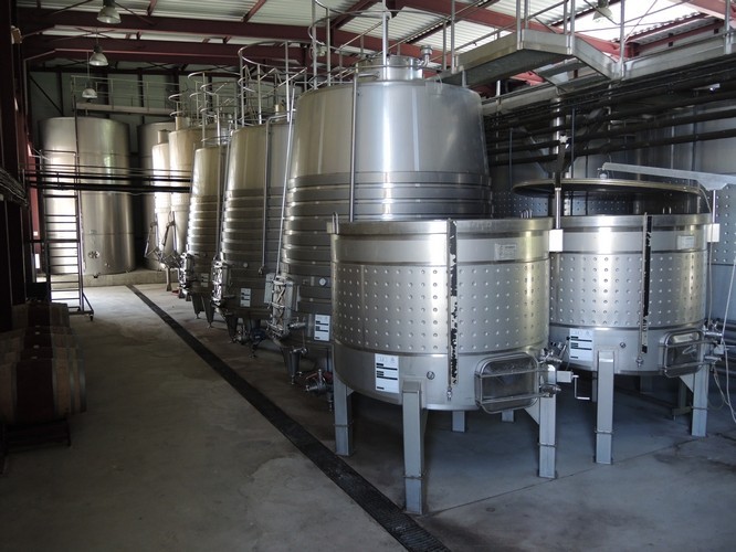 grape fermentation area