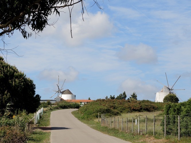 Lots of windmills on this mountain top