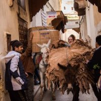 Logistics in narrow alleys [P3]