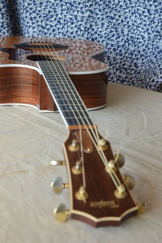 Before Focus Stacking