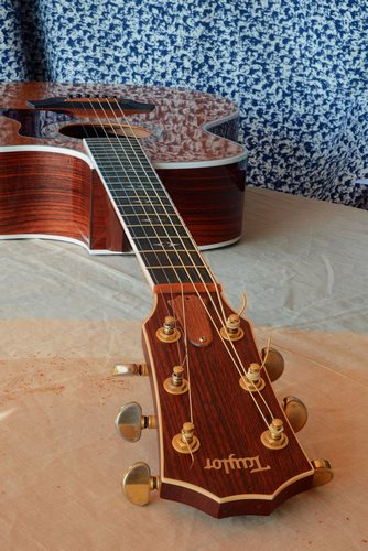 After Focus stacking