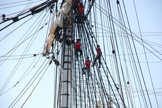 In the mast