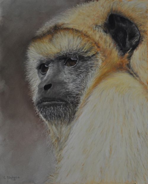 Contemplation (Sold)