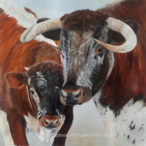 English Longhorn (SOLD)