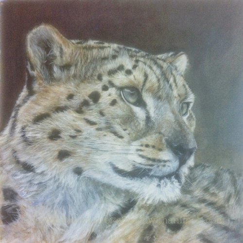 Snow Leopard (SOLD)