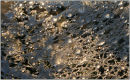 Frozen Cobweb