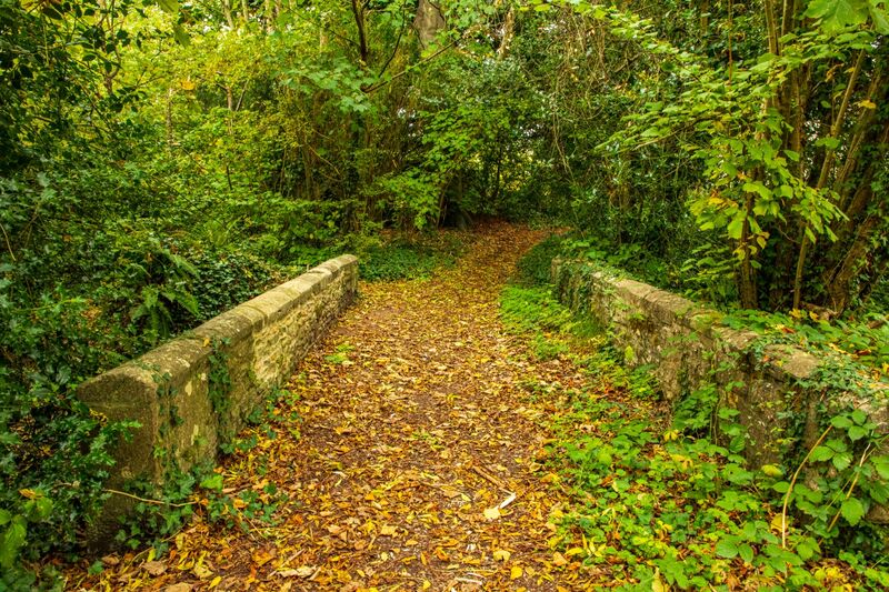 Bridge over the Forde.