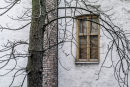 Window with Tree