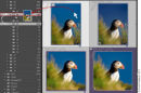 Flytt Bilde i Lightroom