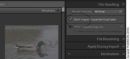 Lightroom importerer ikkje bilde 2 gonger