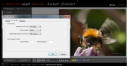 Generering av Preview og yting i Lightroom