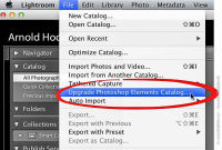 Elements til Lightroom database