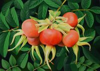 Julia's Paintings