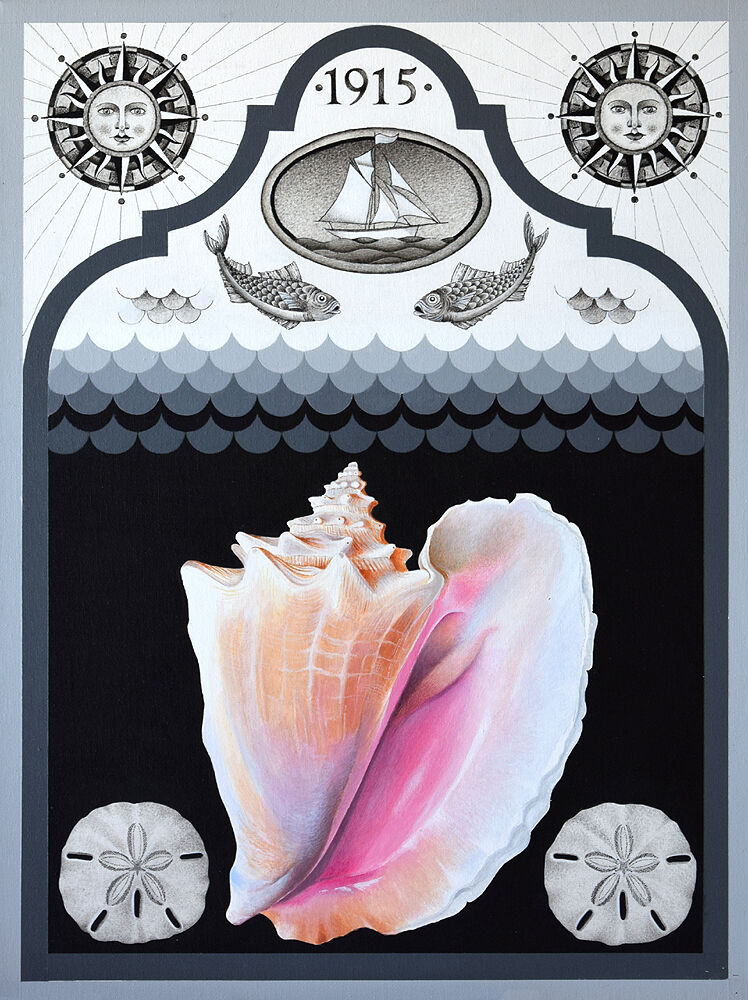 Queen Conch and Sand Dollars (Glandford Shell Museum)