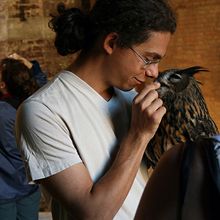 Long Ear Owl and friend
