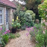 Back of cottage