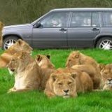 Longleat