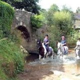 Wellow Trekking Centre