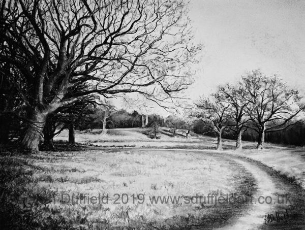 Charcoal drawing by Sussex artist Sarah Duffield of the ruins at Knepp estate. A large bare tree in the foreground and a track lead to and frame the ruins.