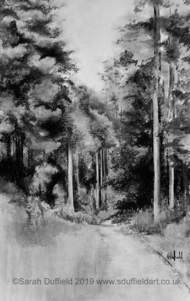 Charcoal drawing by Sussex artist Sarah Duffield. Portrait layout. A pathway leads into and through a forest of tall evergreen trees.