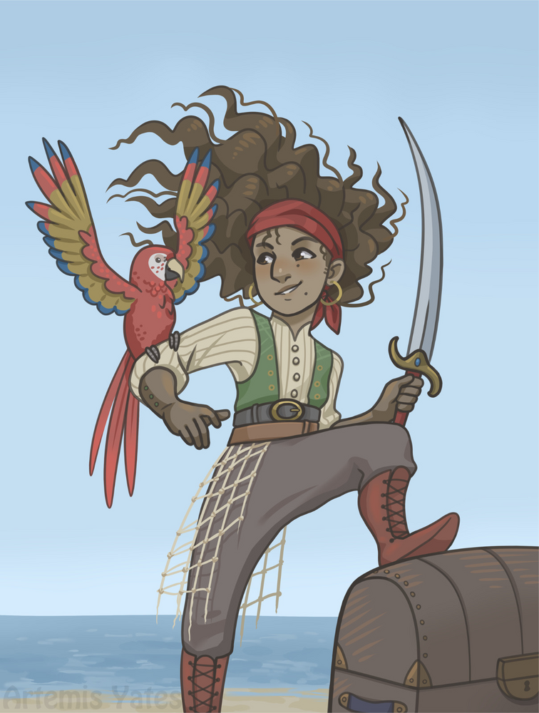 Pirate Adventure Book Cover Example