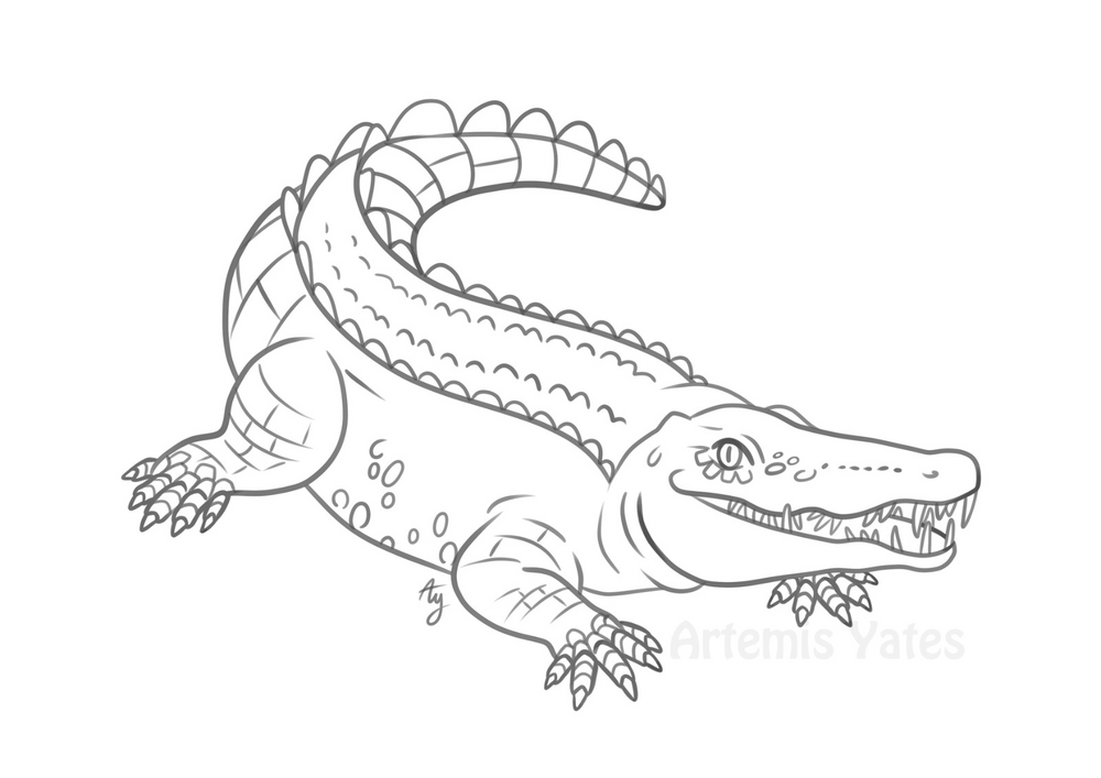 The Crocodile (Pen and Ink)