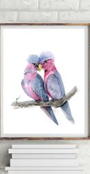 Two Love birds Galah print Parrots art Galah print Parrots art