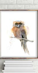 Frogmouth Owl art print wall decor Watercolor bird painting