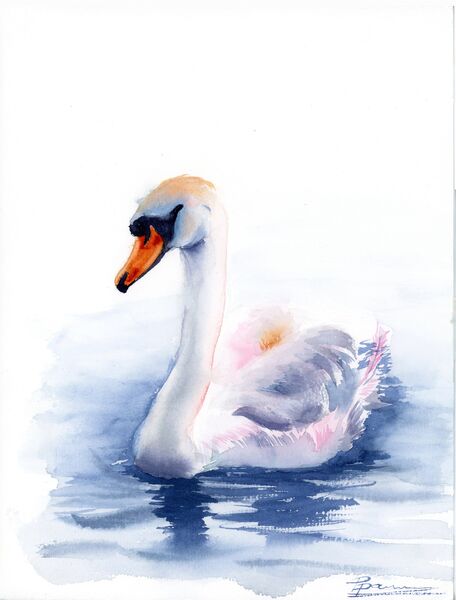Swan - Original Watercolor Painting. Size: 9.5x12.5 inches, Price: 190$ Swan #1