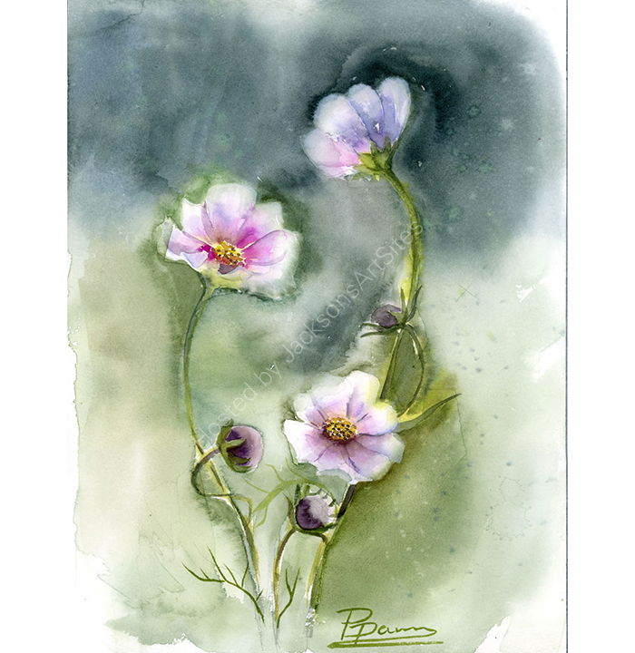 173.-Cosmos-flower