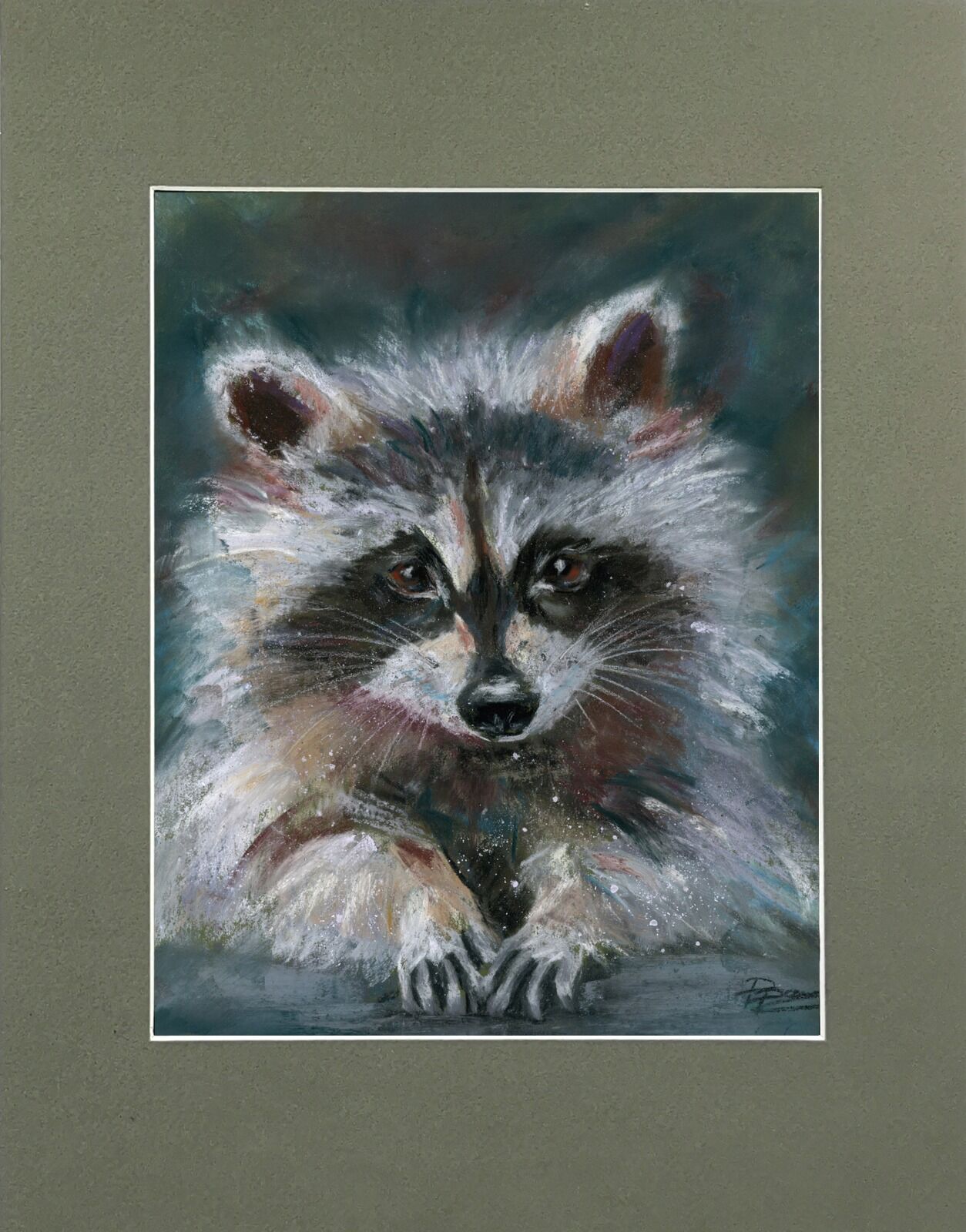 Raccoon portrait - Original Pastel Drawing, 763