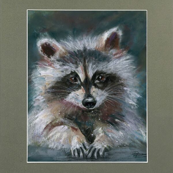 Raccoon portrait - Original Pastel Drawing, 763