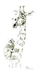 Giraffe and Tarsier - original ink drawing by PaintisPassion Giraffe and Tarsier - original ink drawing 149