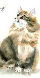 Cat and insect - Original Watercolor Painting Cat and insect - Original Watercolor Painting 785