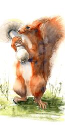 Squirrel with Mushroom- original watercolor painting (Size: 11 x 15.5 in) Squirrel with Mushroom- original watercolor painting 883