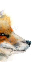 Fox portrait - Original watercolor painting by PaintisPassion; size: 5 x 11.1 in Fox portrait - Original watercolor painting by PaintisPassion; size: 5 x 11.1 in 597