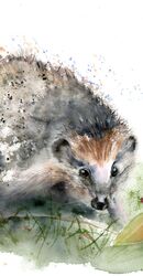 Hedgehog - Original watercolor Painting by paintispassion Hedgehog - Original watercolor Painting 906