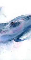 Whale - Original Watercolor Painting Size: 14.8 x 11 in Whale - Original Watercolor Painting 677