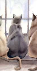 Cats-watercolor-print-by-PaintisPassion