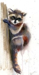 Raccoon on the tree - original watercolor painting by PaintisPassion Raccoon on the tree - original watercolor painting 400