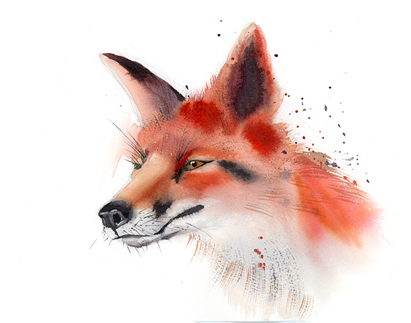 Fox-art-print-watercolor-by-PaintisPassion