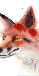 Fox-art-print-watercolor-by-PaintisPassion