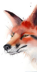 Fox-art-print-watercolor-by-PaintisPassion