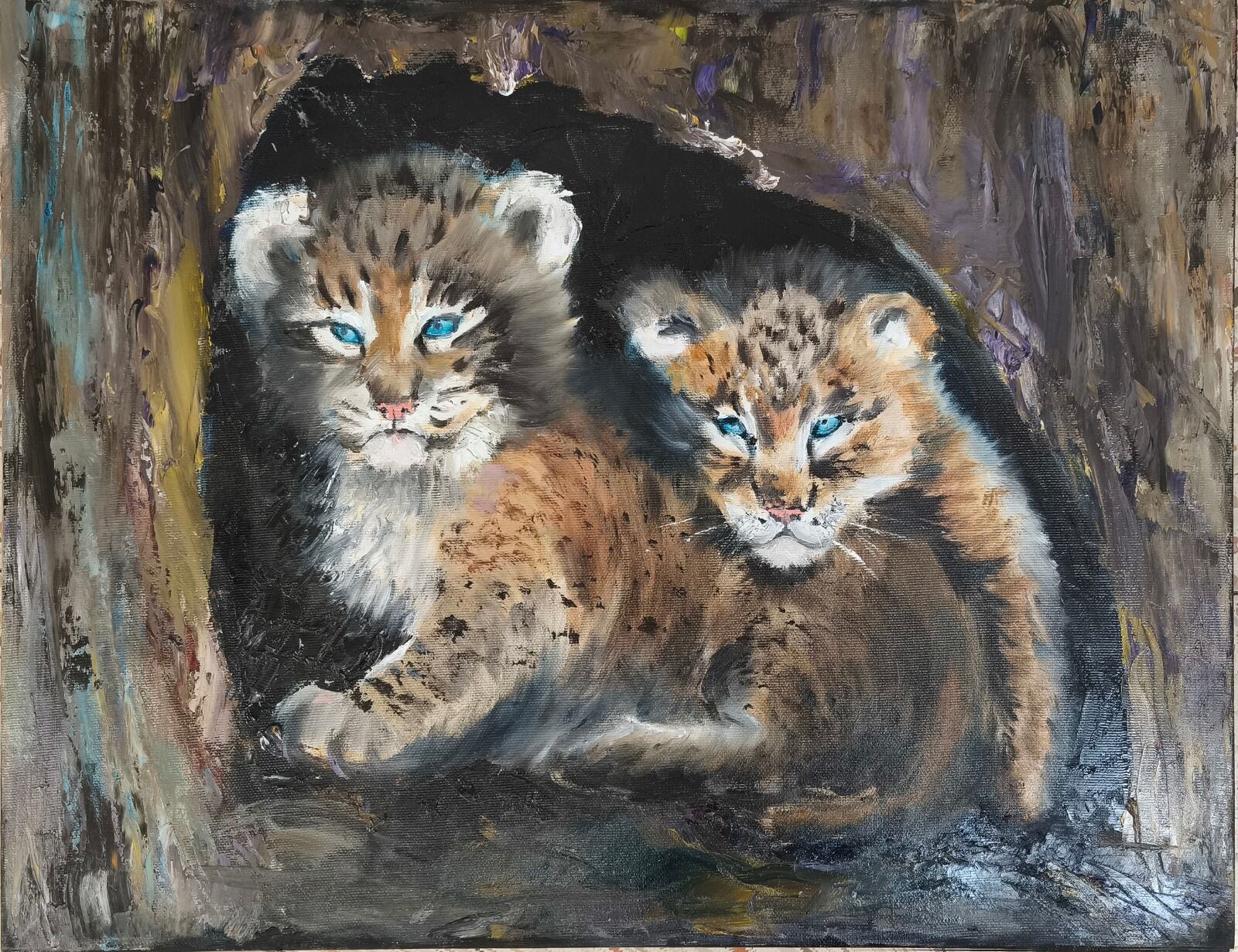 Lynx Cubs 1515