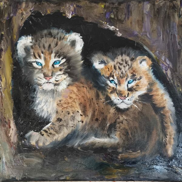 Lynx Cubs 1515
